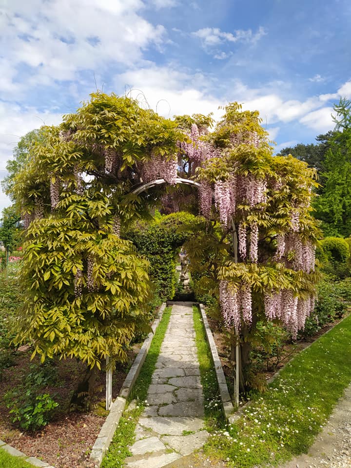 Villa Pallavicino, un bellissimo parco affacciato sul Lago Maggiore - Gite  Fuori Porta in Piemonte