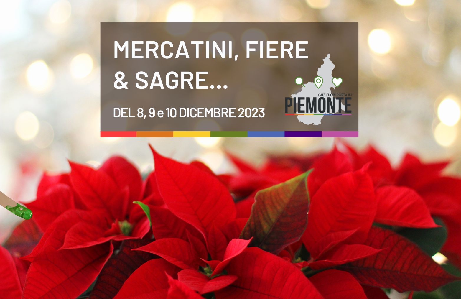 Cosa fare al ponte dell’Immacolata, l’8, 9 e 10 dicembre in Piemonte tra eventi e mercatini di Natale